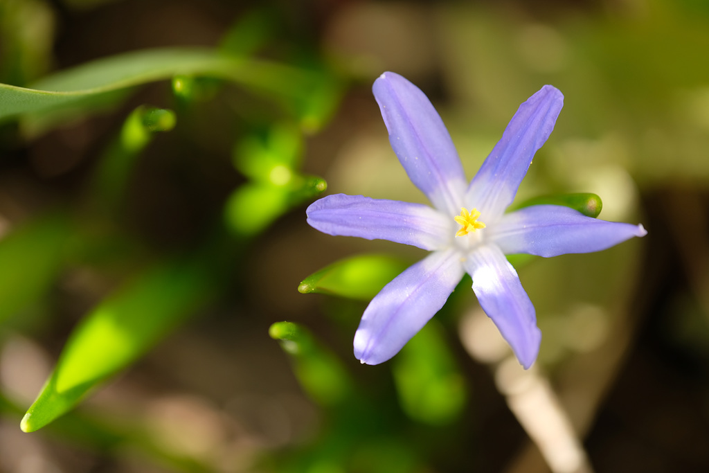 DSCF3578
