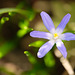 DSCF3578