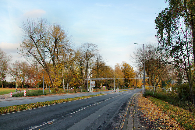 Florastraße (Gelsenkirchen-Bulmke-Hüllen) / 14.11.2020