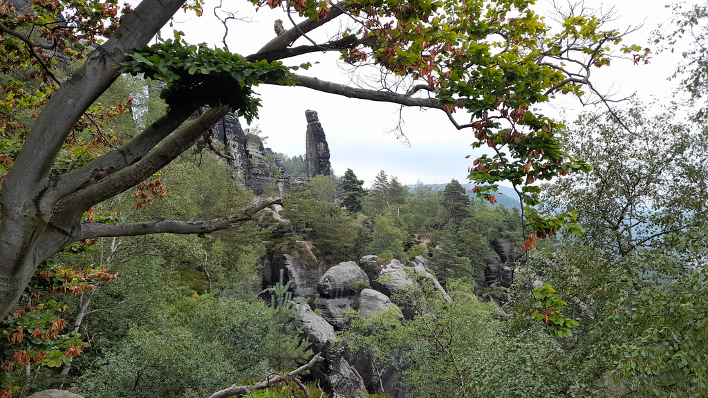 schrammsteine 011