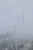 Winter-Nebel am Üetliberg (© Buelipix)