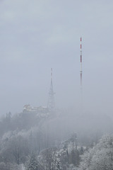 Winter-Nebel am Üetliberg (© Buelipix)