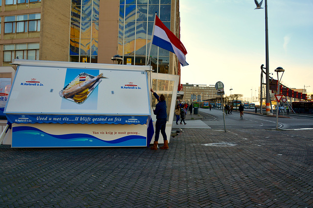 Raising the Dutch ﬂag