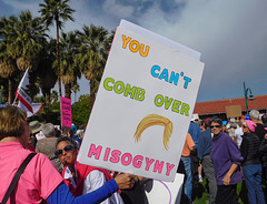 Palm Springs Womens March (#0866)