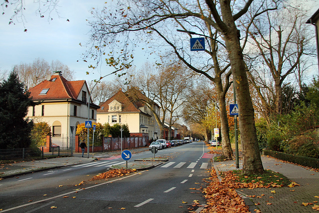 B227 Hohenzollernstraße (Gelsenkirchen-Bulmke-Hüllen) / 14.11.2020