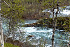 Stekenjokkvägen (Vildmarksvägen)