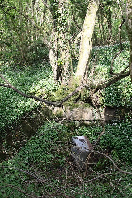 Gelli Quarry