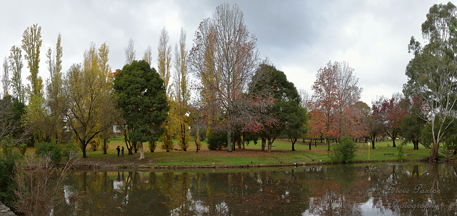 Saturday In the Park