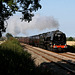 6233 DUCHESS of SUTHERLAND on 1Z65 Sboro - Crewe at Seamer Carr Farm Crossing 3rd September 2010