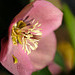DSCF3590