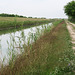 Day 7, canal, Estero Llano Grande SP