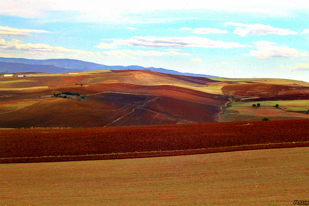 Couleurs de la terre ..!
