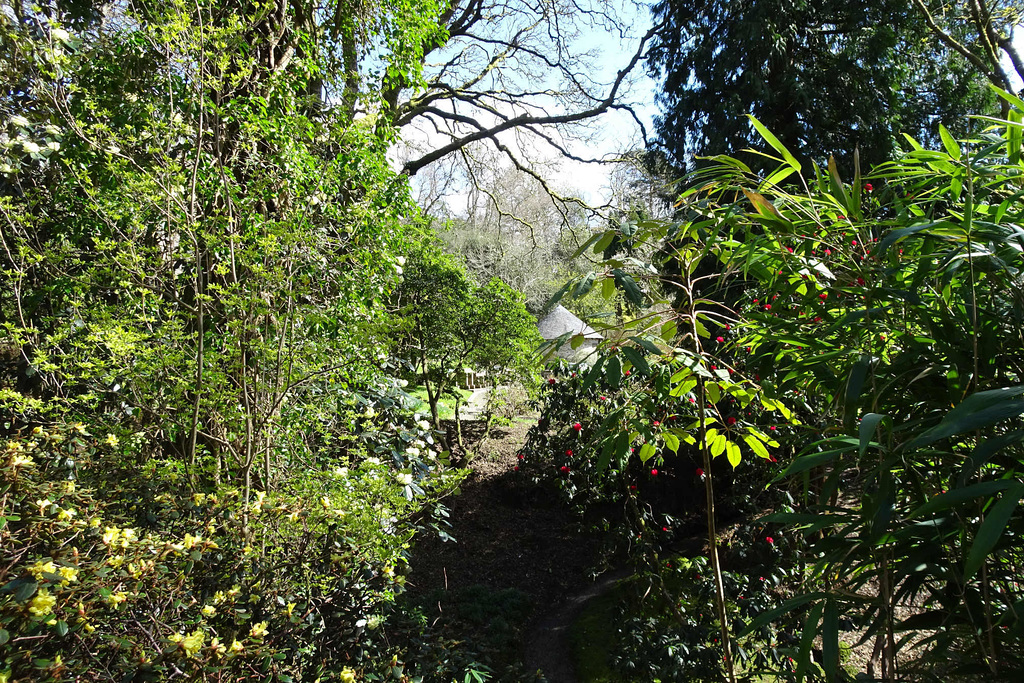Glenarn Gardens