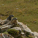 20220828 -11 Ubaye (Alpes de Haute Provence) (942)