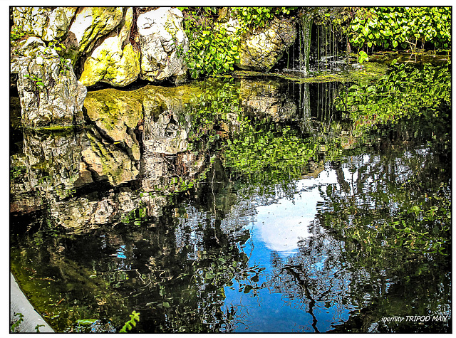 Botanischer Garten UNI Basel >>>>