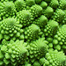 Romanesco broccoli