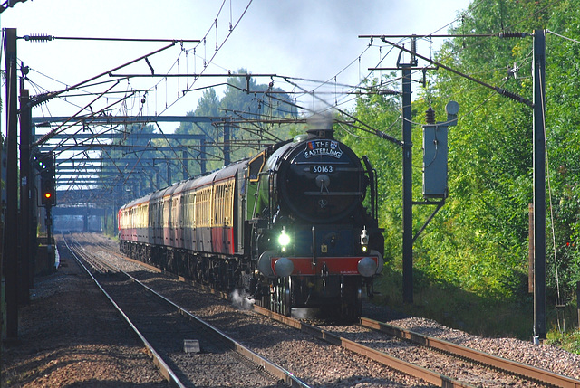 'Tornado' crosses Welwyn Viaduct with 'The Easterling'