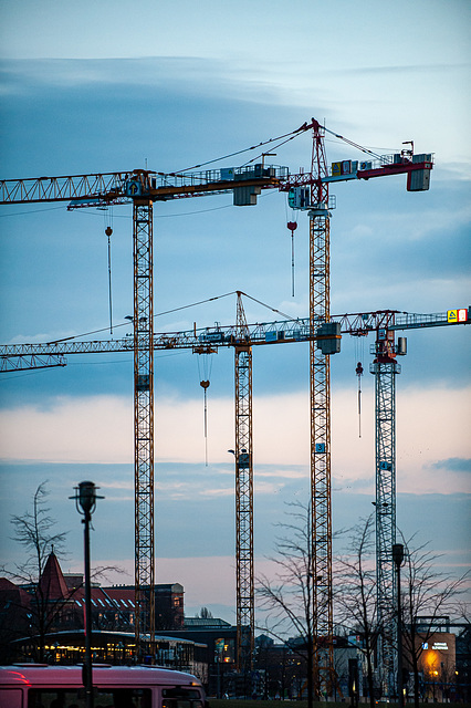 Ballet of the cranes