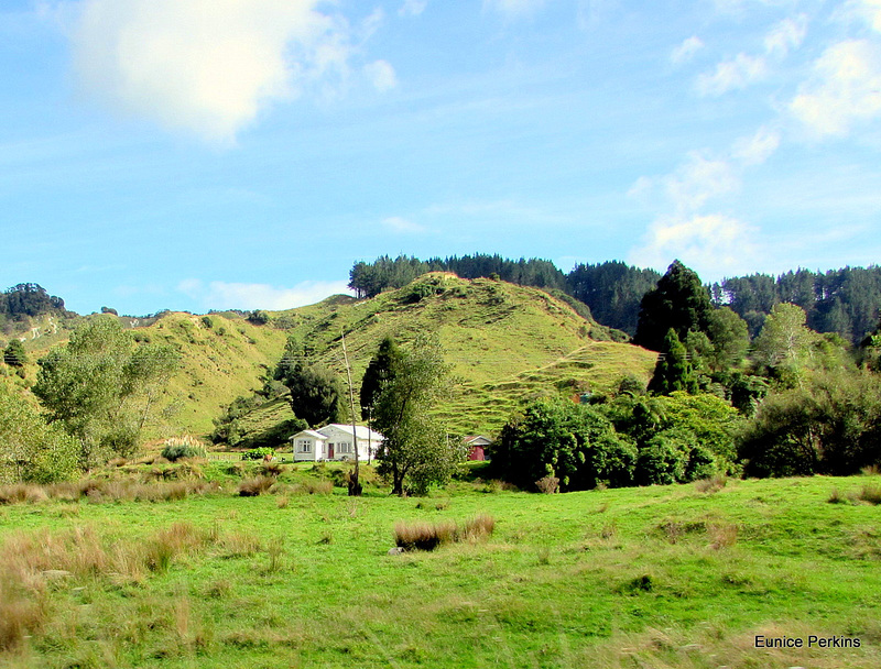 House Below Hill