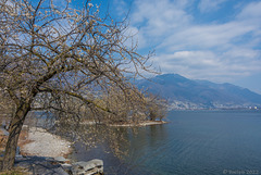 am Lago Maggiore bei Locarno (© Buelipix)