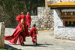 Novice monks at Gom Kora
