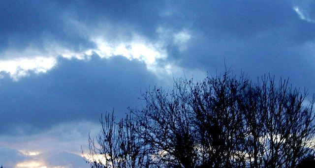 un coup de bleu dans la grisaille