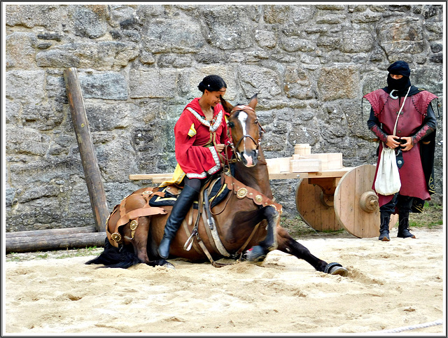 Spectacle de Fer et de Feu à Dinan (22)