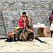 Spectacle de Fer et de Feu à Dinan (22)