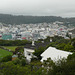 View Over Wellington
