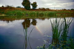 The Warwickshire Avon below Marcliff Lock (Scan from the 1970s)