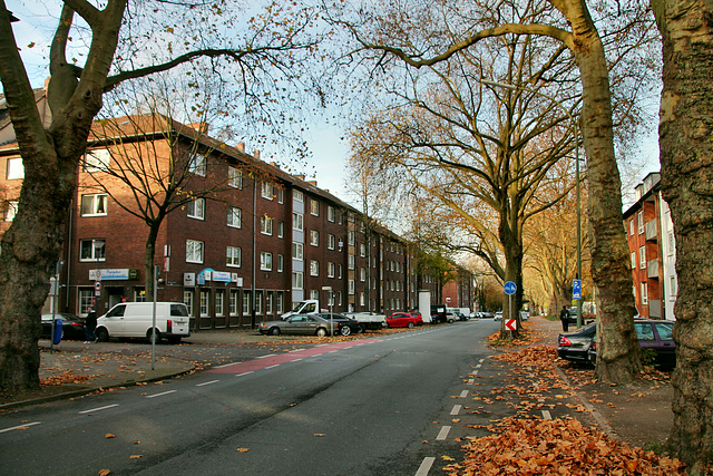 B227 Hohenzollernstraße (Gelsenkirchen-Bulmke-Hüllen) / 14.11.2020