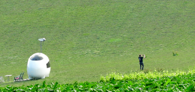 Alien has landed in a meadow and is photographing the world