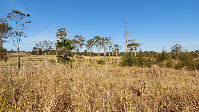 187/365 2025 Winter's day