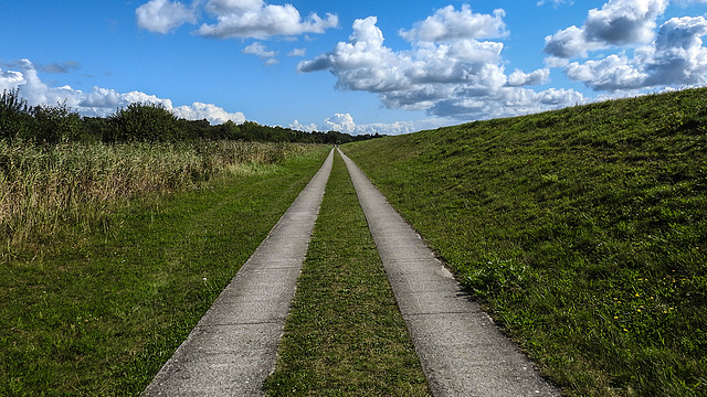 20190902 5688CPw [D~VR] Hinter dem Deich, Müggenburg, Boddenland