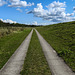 20190902 5688CPw [D~VR] Hinter dem Deich, Müggenburg, Boddenland