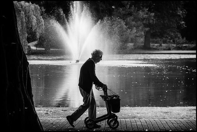 Spaziergang im Park