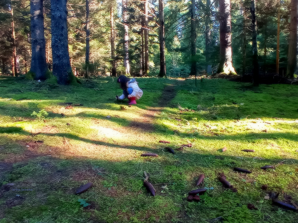 Little girl is playing in the woods