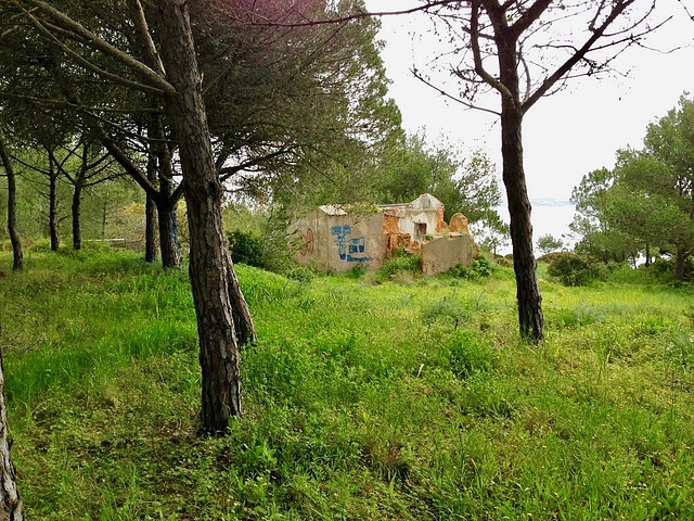 Another place in the sun. Cliff top path above Praia de João de Arens (2013)