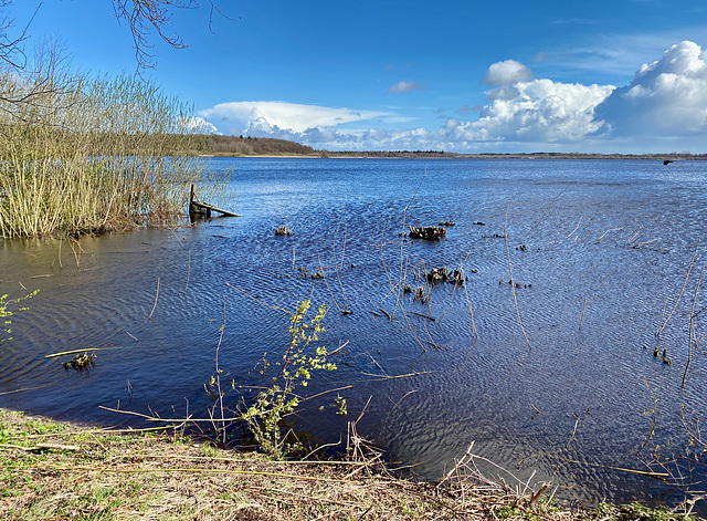 Bederkesaer See