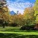 Autumn picture