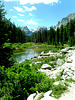 Pooling on Cascade Creek - Grand Teton National Park