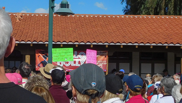Palm Springs Womens March (#0879)
