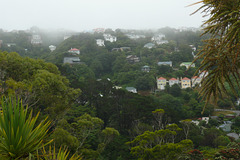 Wellington Botanic Gardens