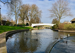 River Sow, Victoria Park