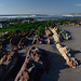 Rocks on the beach