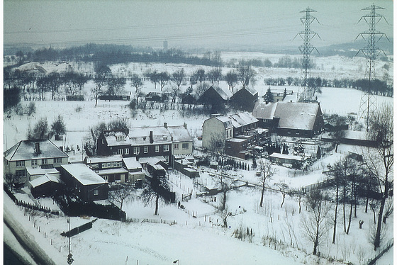 harshest winter in the last 40 year 1985