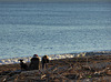 La spiaggia in inverno