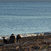 La spiaggia in inverno