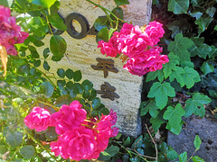 Wunsch in Bronze Wunsch in Bronze