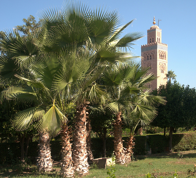 Marrakesch Koutouboia Marrakesch Koutouboia